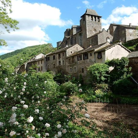 Graceful Holiday Home In Montclar With Bubble Bath Montclar (Aveyron) Exterior photo