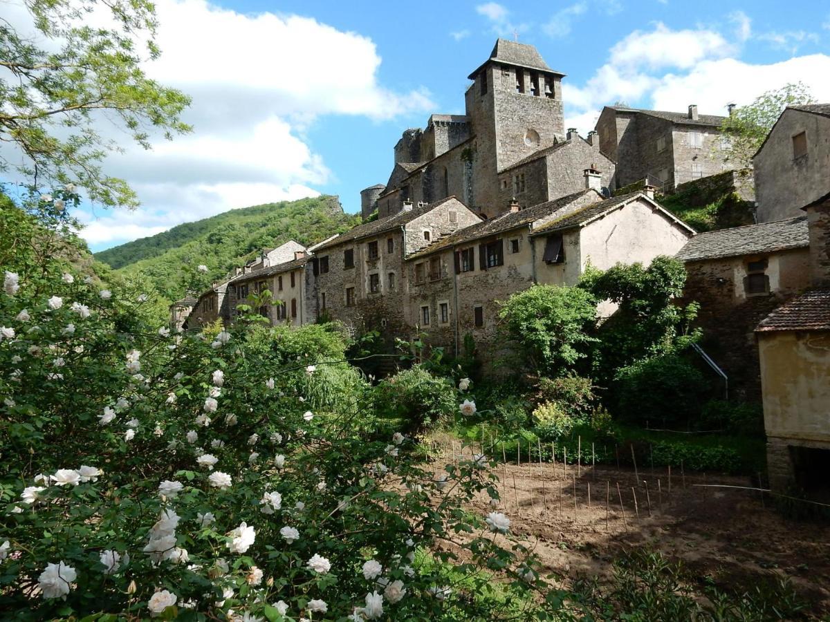 Graceful Holiday Home In Montclar With Bubble Bath Montclar (Aveyron) Exterior photo